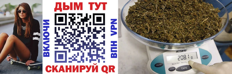 дарнет шоп  darknet клад  Каннабис конопля  Купино 